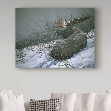 Trademark Art Ron Parker Autumn Foraging Moose On Canvas Print